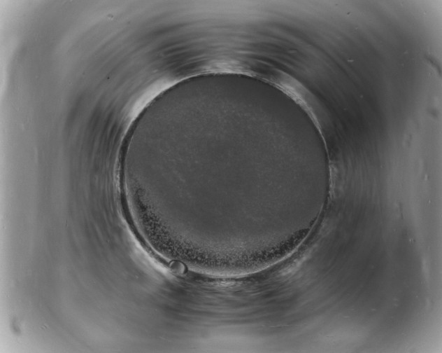 X0000103291141200808291327