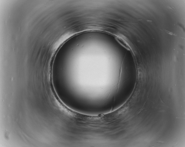X0000103291143200808291327