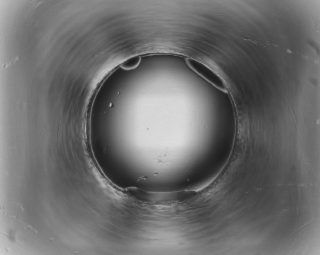 X0000103291144200808291327
