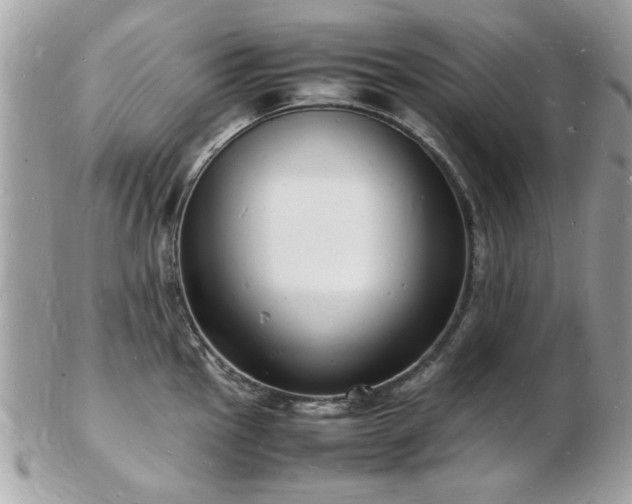 X0000103291145200808291328