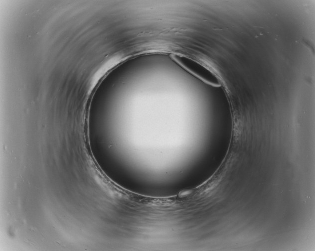 X0000103291146200808291328