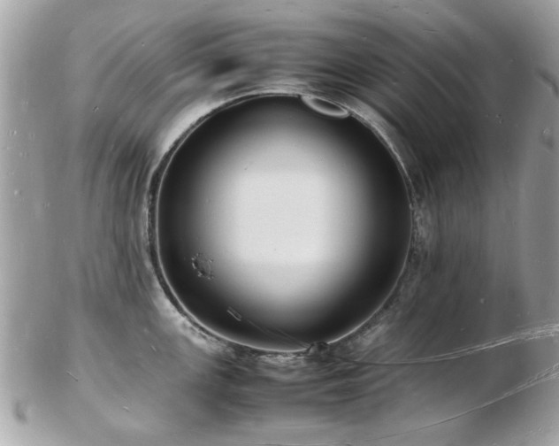 X0000103291147200808291328