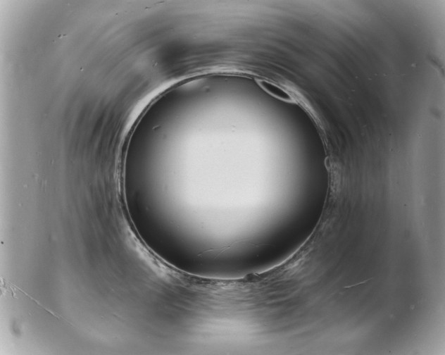X0000103291148200808291328