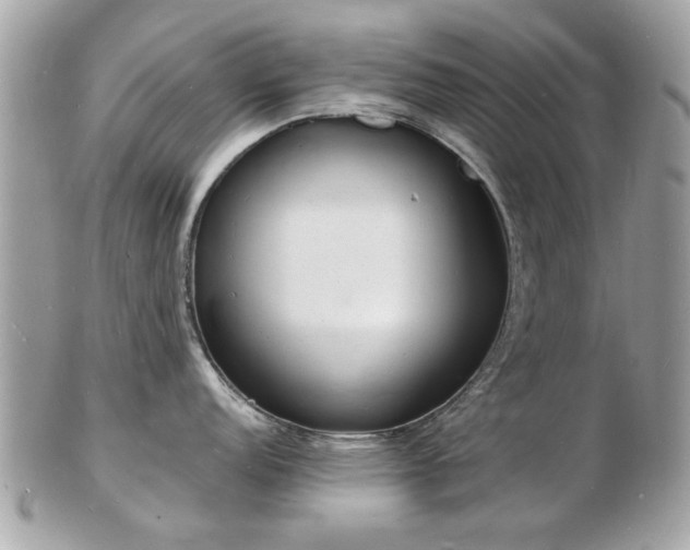X0000103291152200808291328