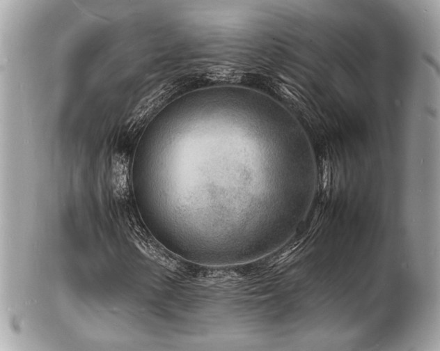 X0000103291154200808291327
