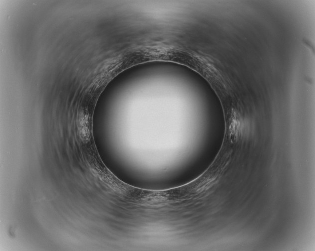X0000103291156200808291327