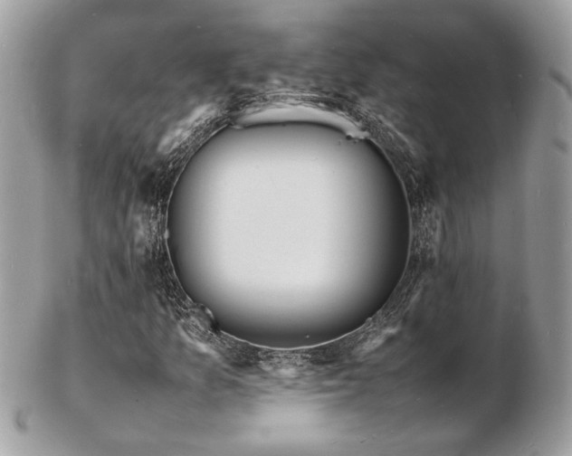 X0000103291157200808291327