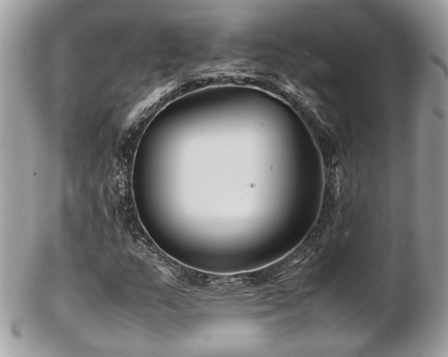 X0000103291159200808291327