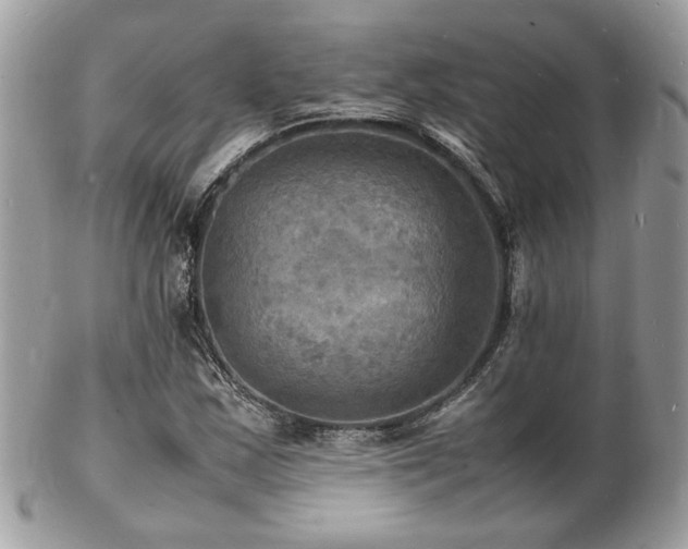 X0000103291163200808291327