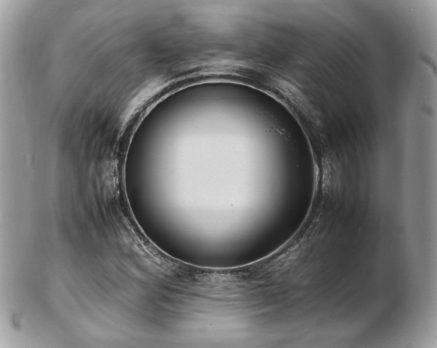 X0000103291164200808291327