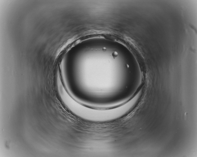 X0000103291165200808291327