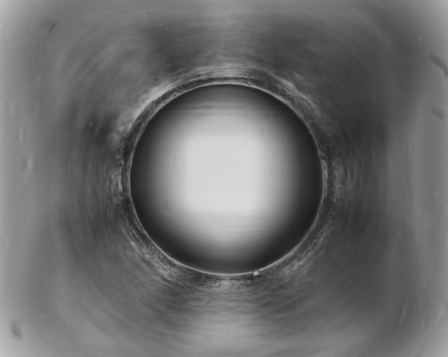 X0000103291166200808291327
