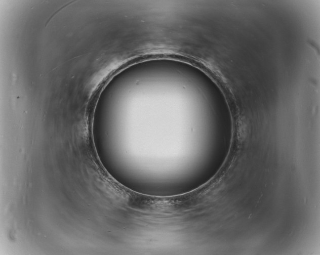 X0000103291167200808291327
