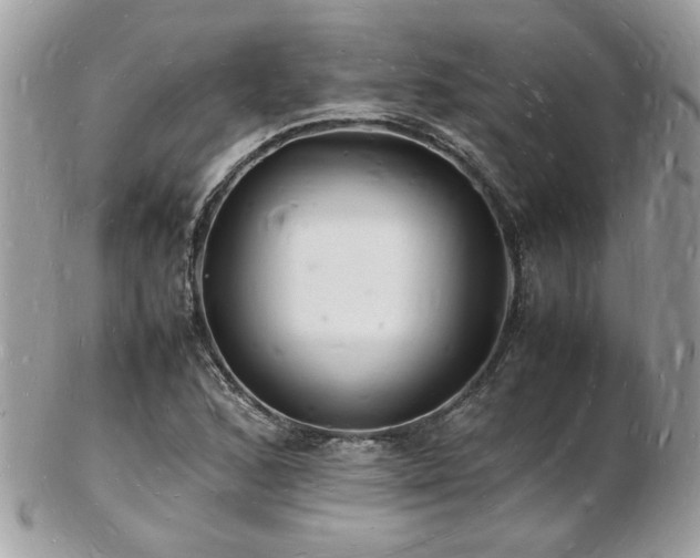 X0000103291168200808291327