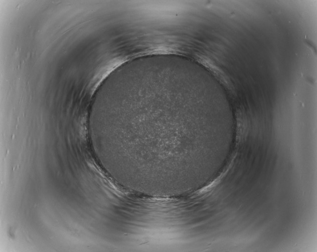 X0000103291170200808291327