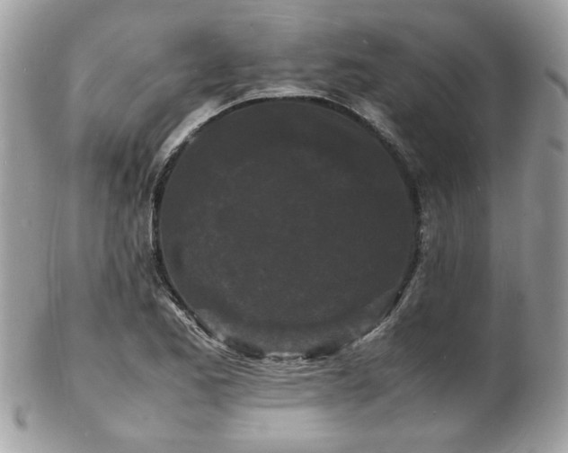 X0000103291173200808291327
