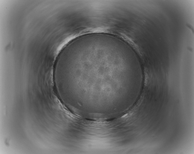 X0000103291174200808291327