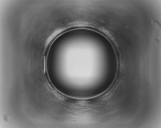 X0000103291175200808291327