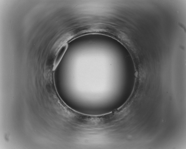 X0000103291177200808291327