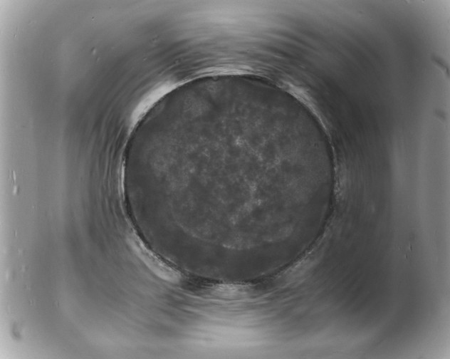 X0000103291179200808291327