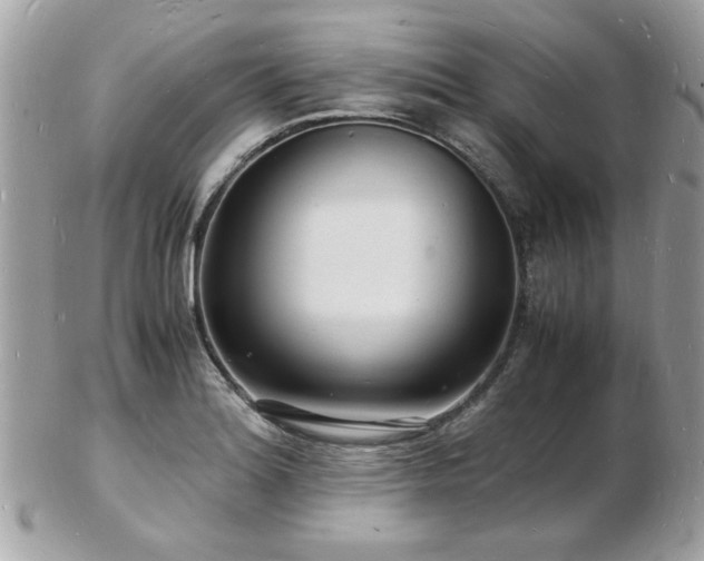 X0000103291180200808291327