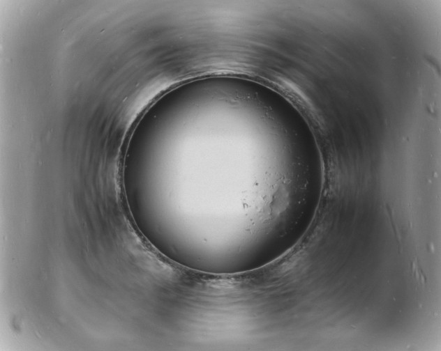 X0000103291182200808291327
