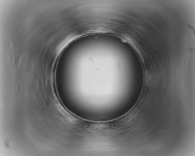 X0000103291187200808291326