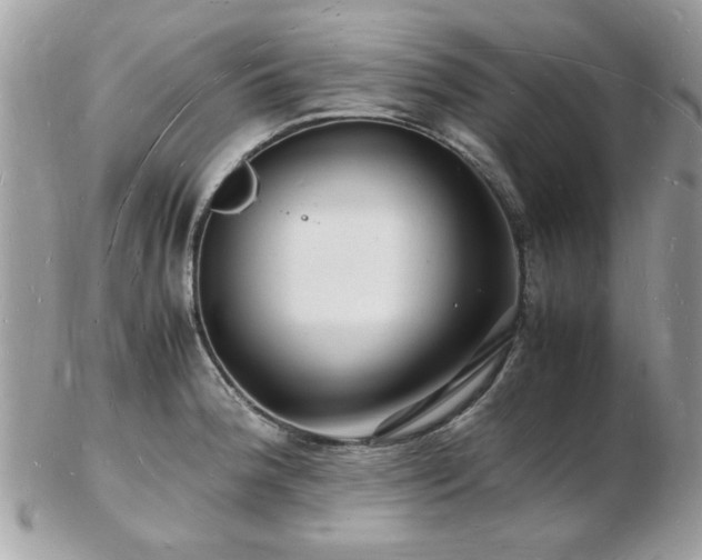 X0000103291188200808291326
