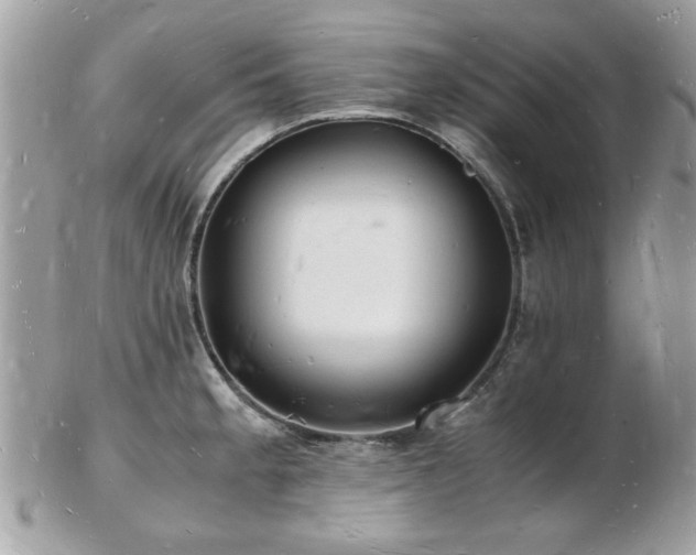 X0000103291189200808291326