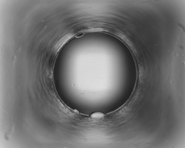X0000103291193200808291326
