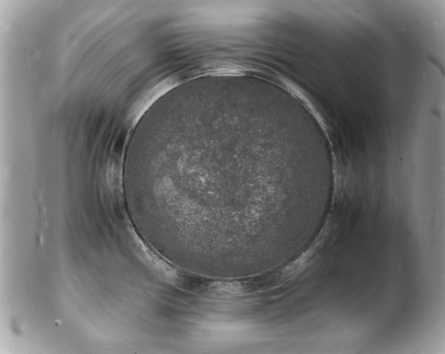 X0000103291194200808291326