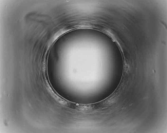 X0000103291195200808291326