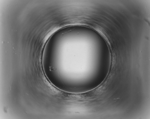 X0000103291197200808291326