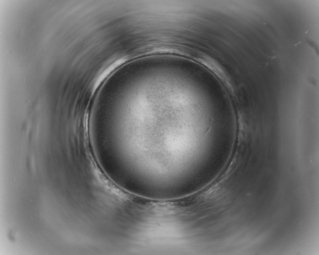X0000103291198200808291326