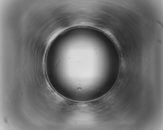 X0000103291199200808291326