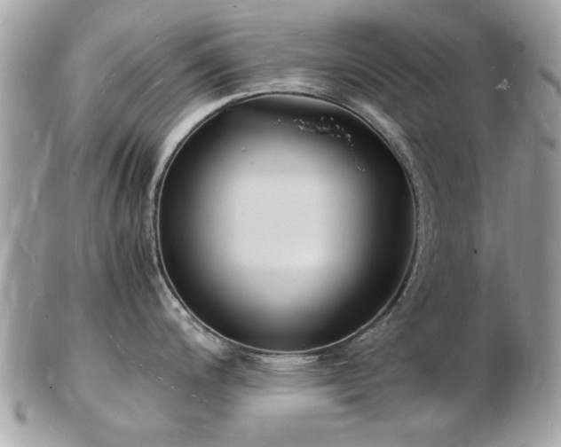 X0000103291200200808291326