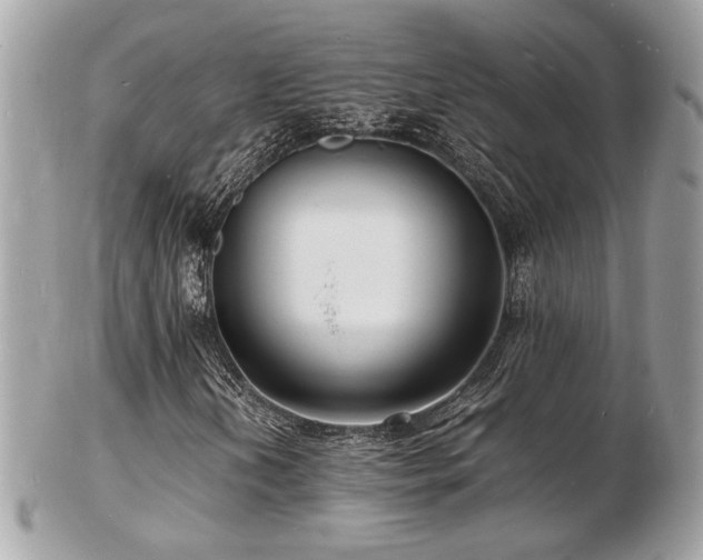X0000103291202200808291326