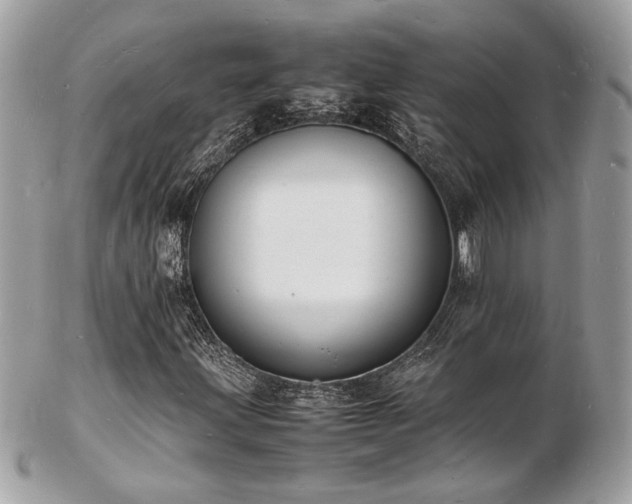X0000103291203200808291326