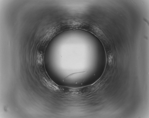 X0000103291204200808291326