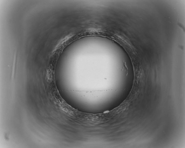 X0000103291207200808291326