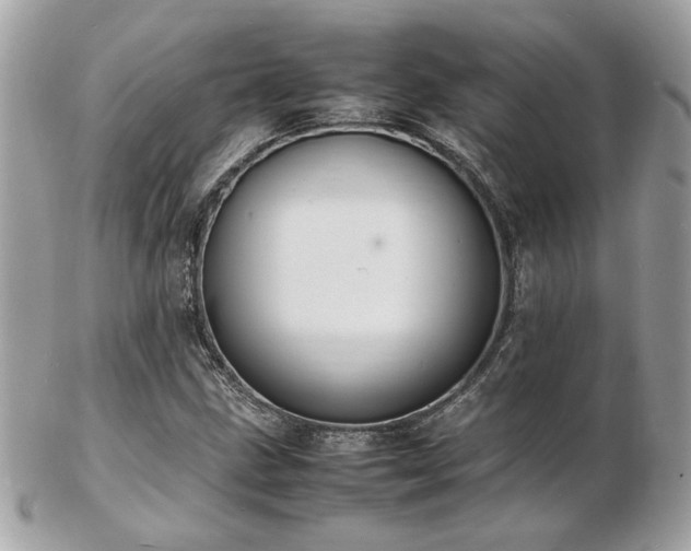 X0000103291211200808291326