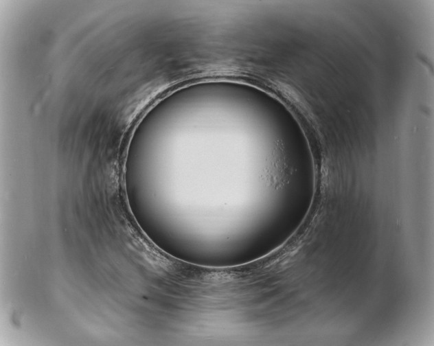 X0000103291212200808291326