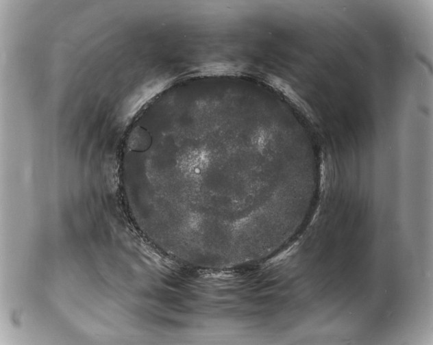 X0000103291213200808291326