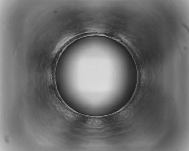 X0000103291215200808291326