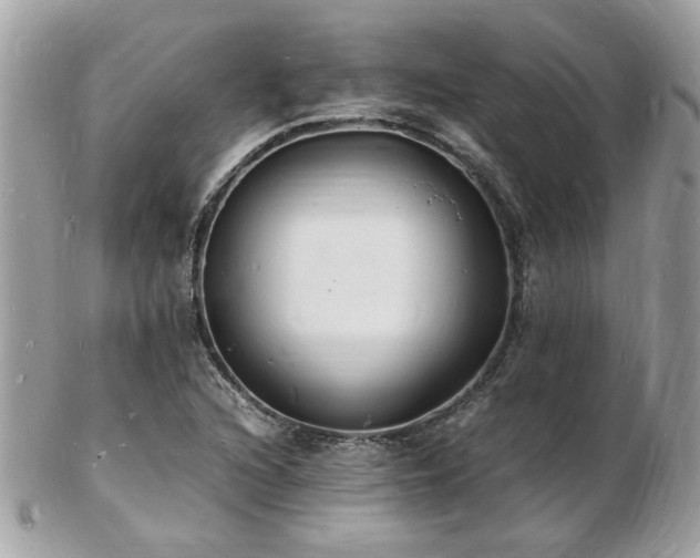 X0000103291216200808291326