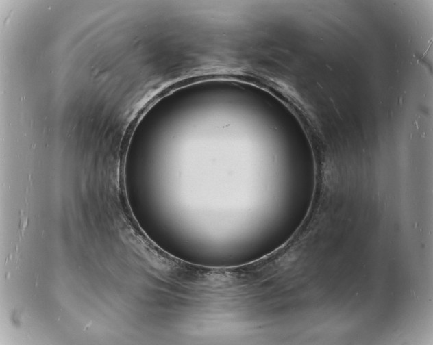X0000103291220200808291326