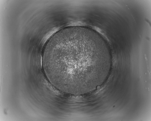 X0000103291221200808291326