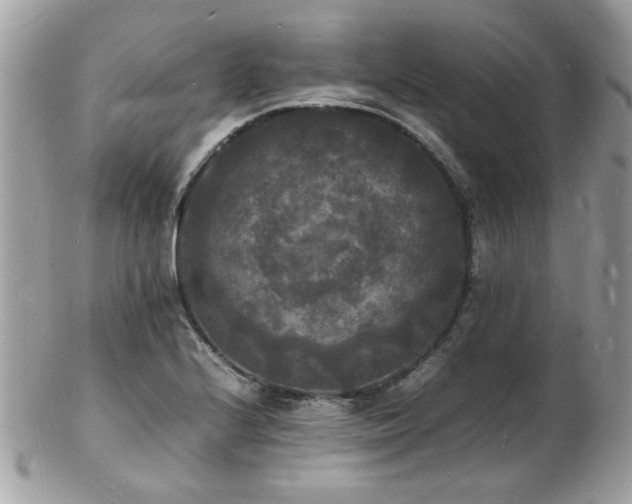X0000103291224200808291326