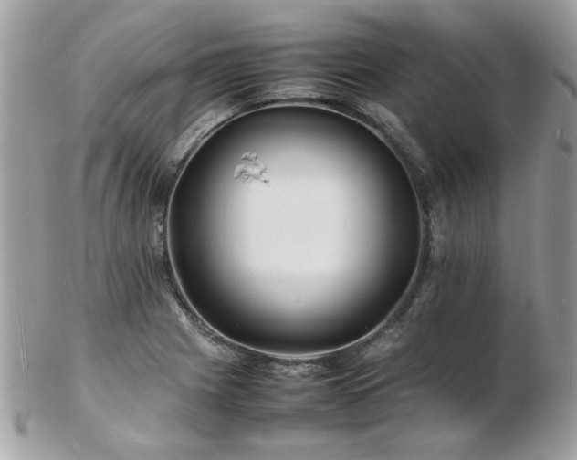 X0000103291225200808291326