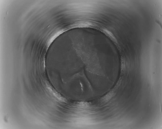 X0000103291226200808291326